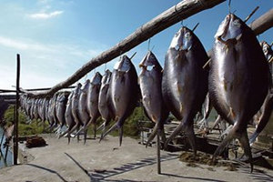 鱼和鸡蛋能一起吃吗