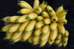 �ʵ۽���Ӫ����ֵ��ʲô �ʵ۽���ʲôӪ��