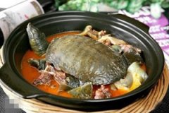 �Լ��㲻�ܳ�ʲô�� �Լ����ע������