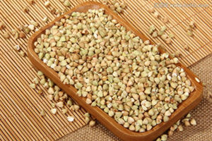 �и����Գ�������