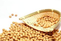 ���͵�Ӫ����ֵ��ʲô ���͵�ʳ������