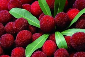 ��÷��Ӫ����ֵ