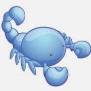 11��6����ʲô���� 11��6��������ѯ