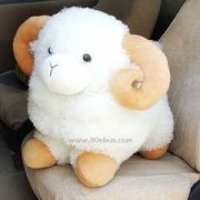 Ů��������ʲô������ ����Ů������