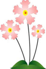 11��7����ʲô����