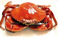 7��22����ʲô���� 7��22�ճ�������