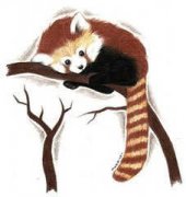 9��7����ʲô���� �����ߺ���ʲô����