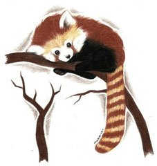 9��7����ʲô����