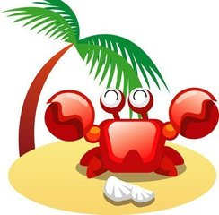 ��������ʲô����