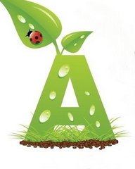 a型血人的性格特点