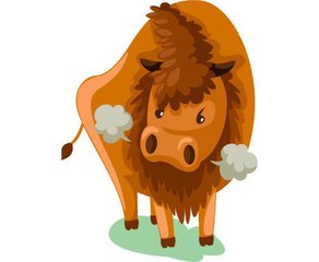 十二星座性格解析