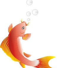 双鱼座本月运势