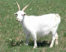 Ħ������������ Ħ��2015��7������