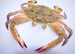 ��з���������� ��з2015��7������