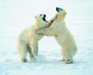 ��Ů���������� 