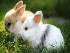 ʲô�˿�ʲô�� ˫�������복��