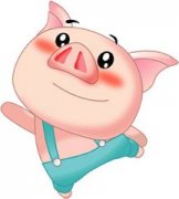 �����������ż ������ʲô������