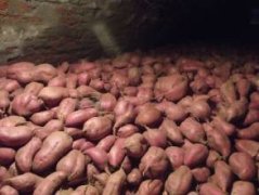 ������ô���� ����Ҫ��ô���غ�