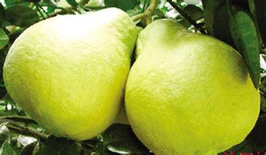 �������Ӳ�ʲôʱ��� �������Ӳ輸ʱ�Ⱥ�