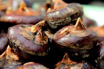 ݩ����ôȥƤ ݩ����ô��Ч����ȥƤ