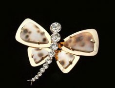 �μ������������ �μ���������Ԥʾʲô