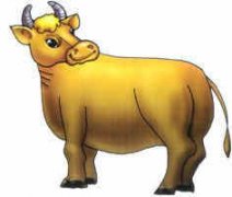 ��ţ��ʳ����� ʮ���������Ѿƴ��䷽ʽ