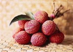 ��֦�ϻ��ʲô�� ����֦�ϻ�����ô��