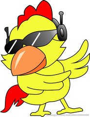 2015年7月属鸡感情运势走向