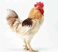 15��7���������˳�������