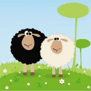 ������ץ��һ�� ������ץ���Ů������