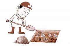 �μ�����ĳ������ �μ�������ζ��ʲô