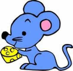 ����������һ��˲���