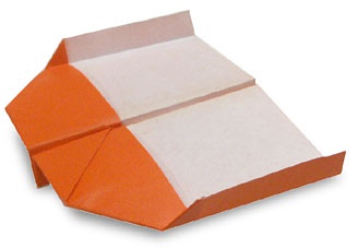 ֽ�ɻ�����ֽ����