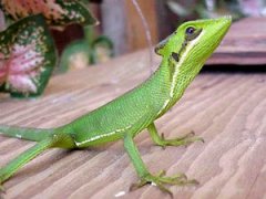 �μ����v����ô���� �μ����v��ʲô����