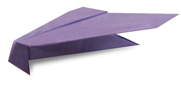 ֽ�ɻ�����ֽ����