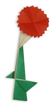 ����ܰ����ֽ����