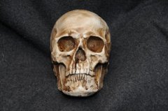 �μ�����ͷ��Ԥʾʲô �μ�����ͷ�ǵĺ���