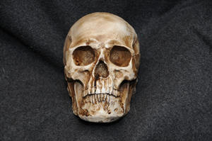 �μ�����ͷ��Ԥʾʲô �μ�����ͷ�ǵĺ���