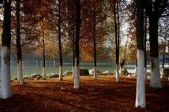 �μ���ɼ������ô���� �μ���ɼ����Ԣ��