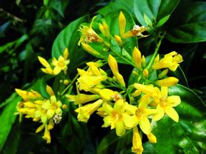 ��ЩҰ���ж� �����Ķ�Ұ��