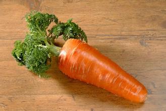 胡萝卜能不能生吃 生吃胡萝卜会怎样