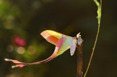 �μ��϶��Ǻ�Ԥ���� �μ��϶�����ʲô