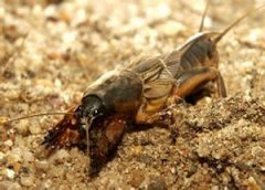 �μ���������ô���� �μ���������ô��