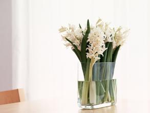 鲜花怎么保持时间长 鲜花的保存方法