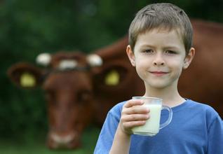 ��ţ�̵Ļ��� �����ĺ�ţ������