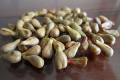 ����������ʲô�ô� �����ѿ��Գ���