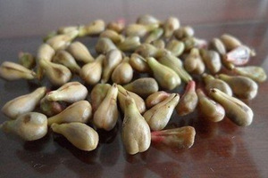 �������ѵĺô�