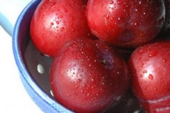 ���ӵĹ�Ч����������Щ ���ӵ�������Ⱥ