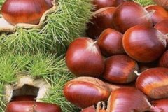 ������Ӫ����ֵ����Щ ������ô����Ӫ��