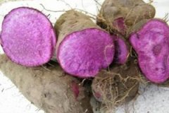 �����Ĺ�Ч����������Щ ������ʳ�÷���